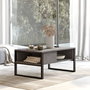 Hanah Home Ml34-Rg Mesa de Centro con Estantes y Estructura Metálica Plata